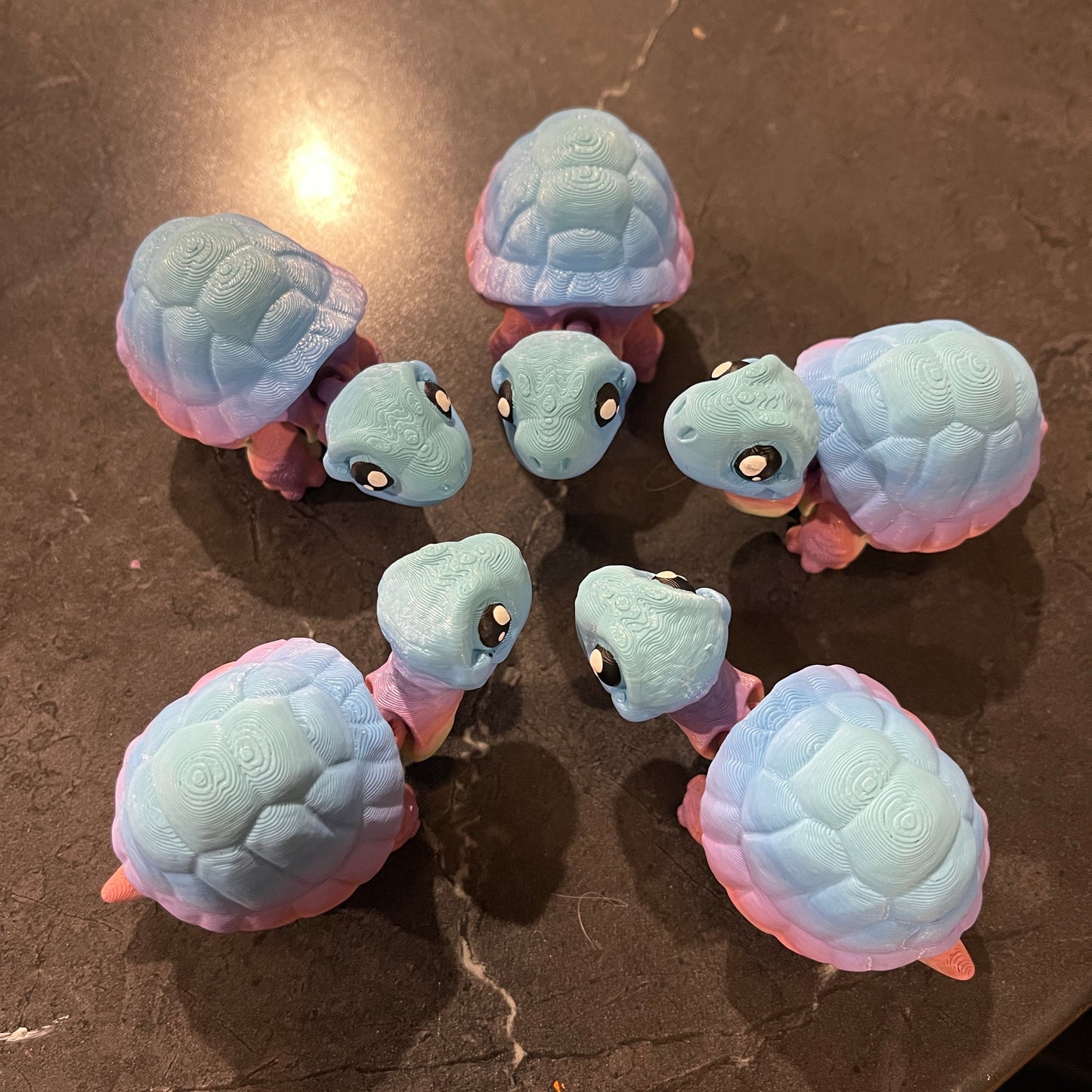 Tortoise - two styles, multiple colours and sizes