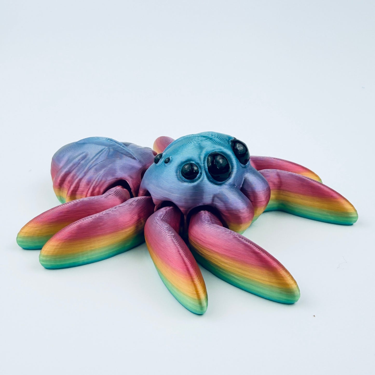 Classic Spider | 5 sizes | hand painted