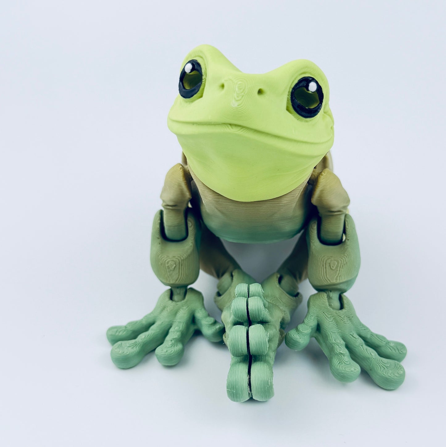 magnetic tree frog posing