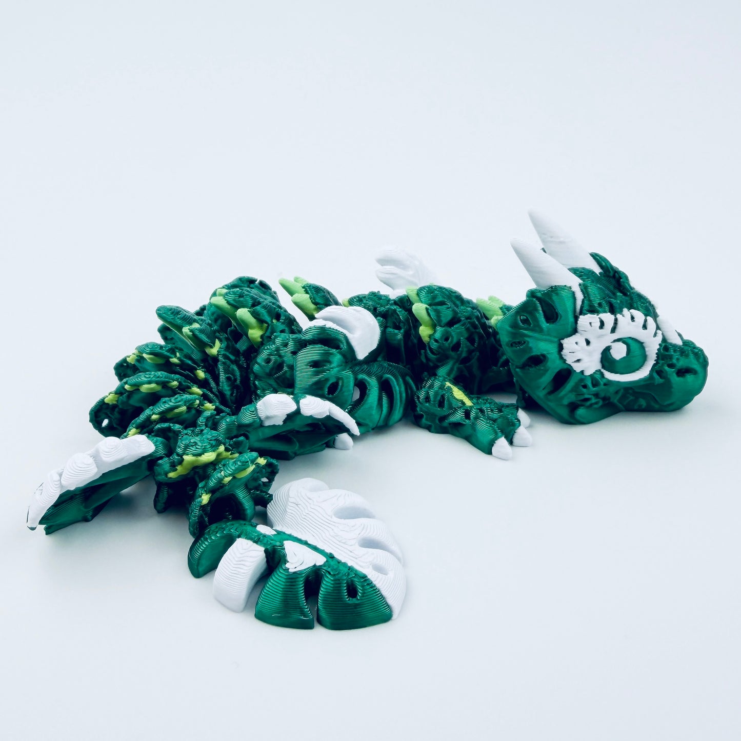 Baby Monstera Dragon