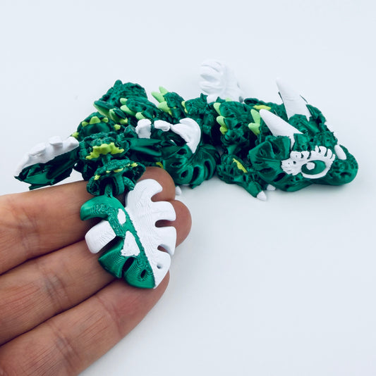 Baby Monstera Dragon