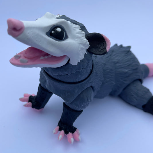 Opossum
