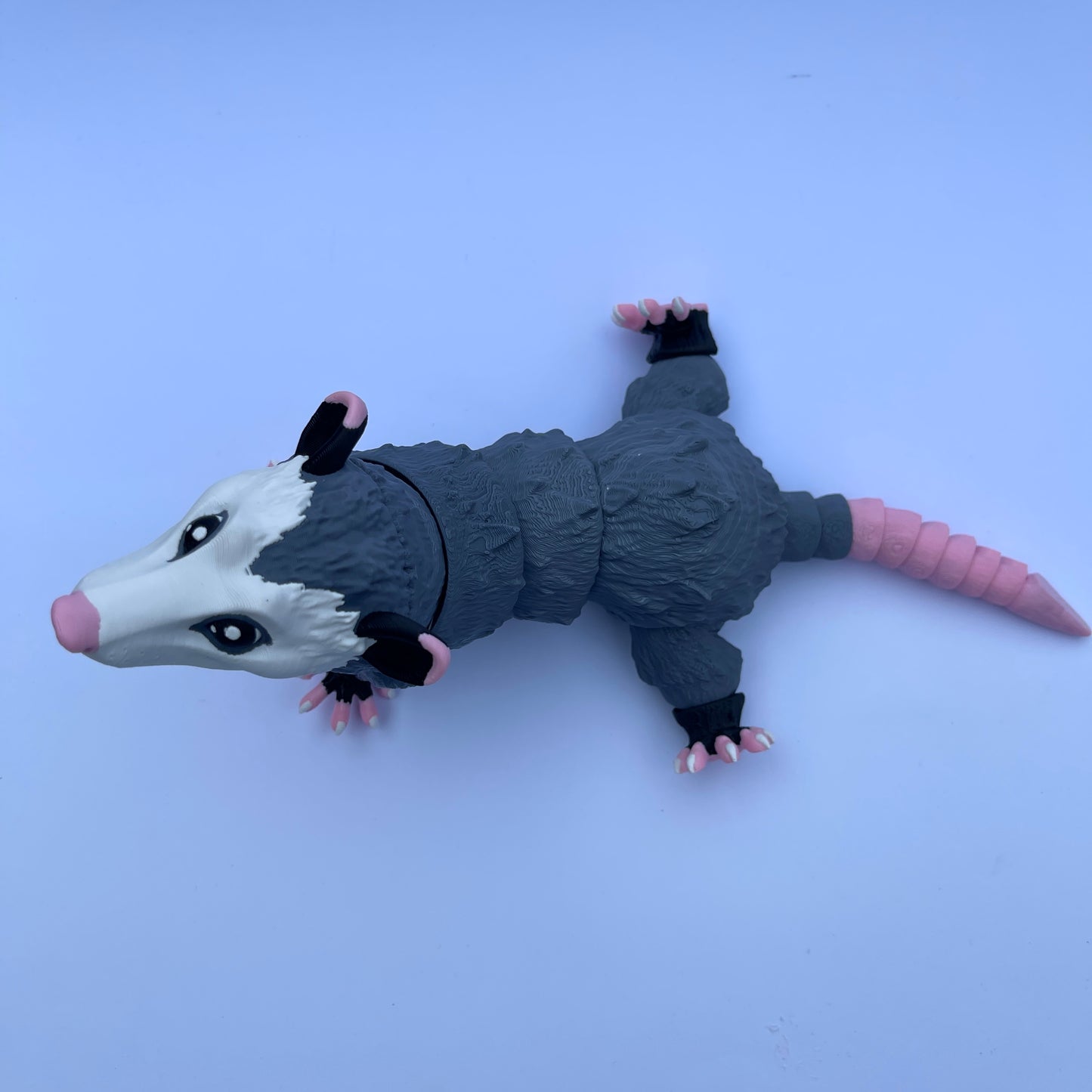 Opossum