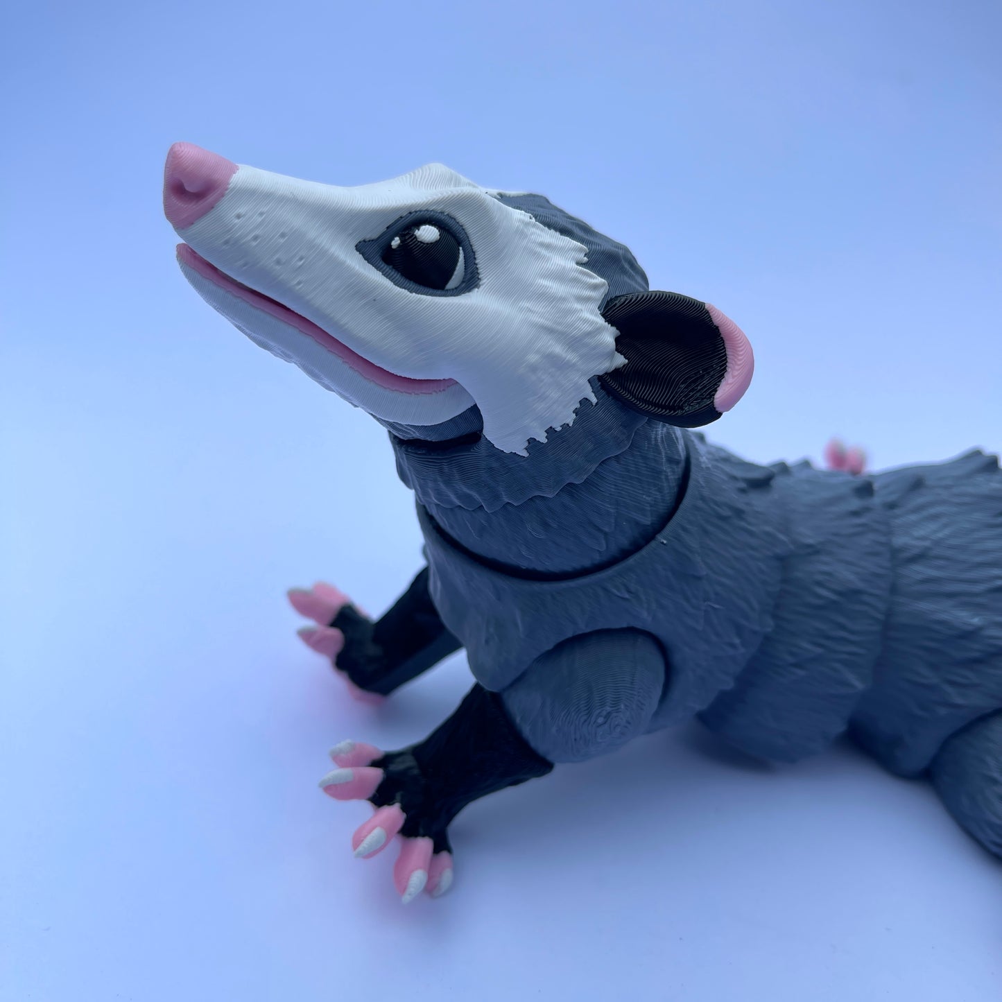 Opossum