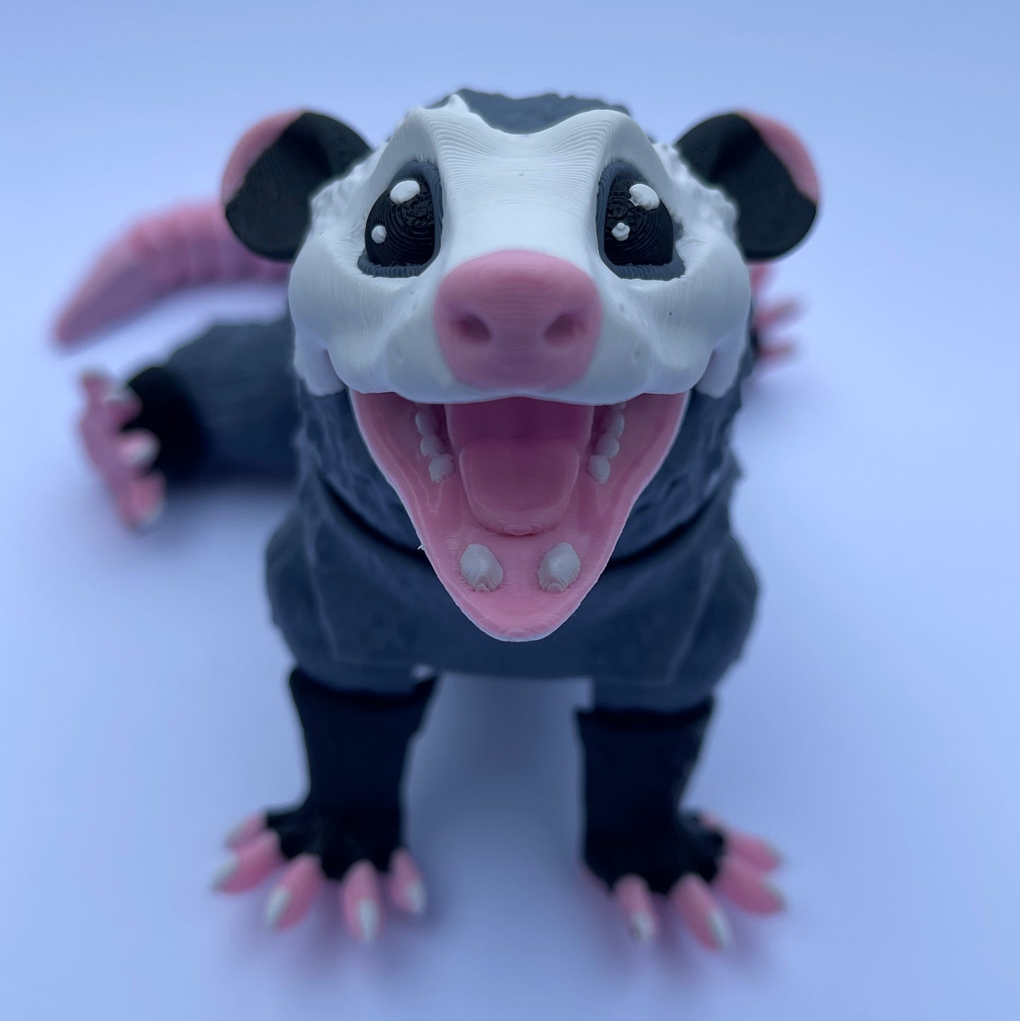 Opossum