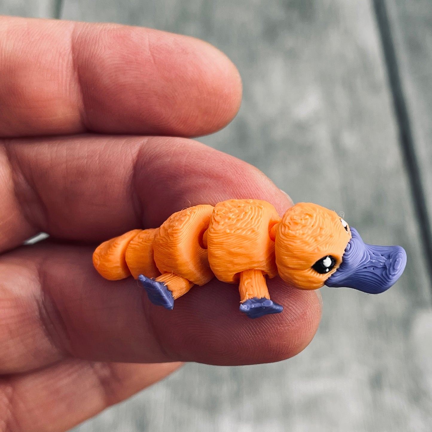 Platypus