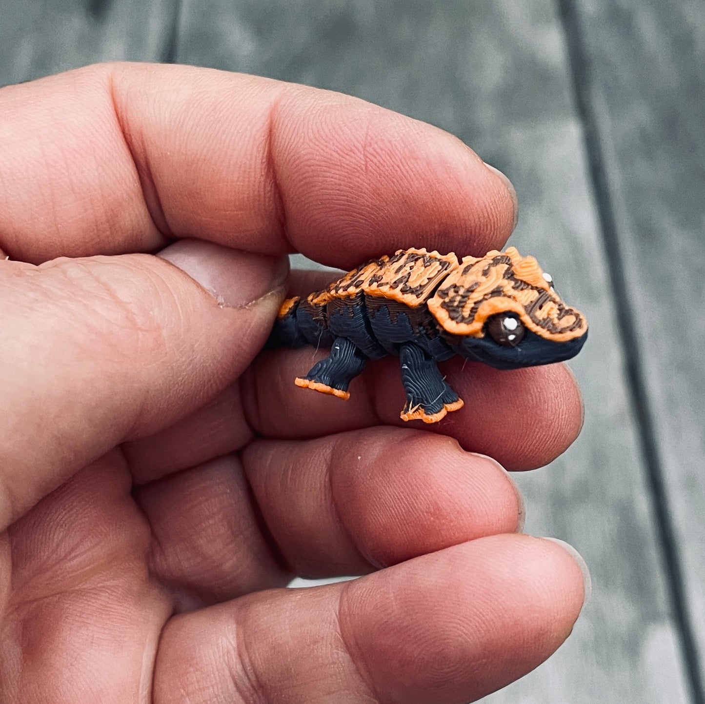 Mini Crested Gecko