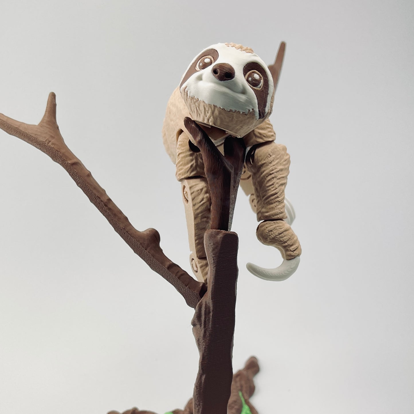 Sloth - with or without tree