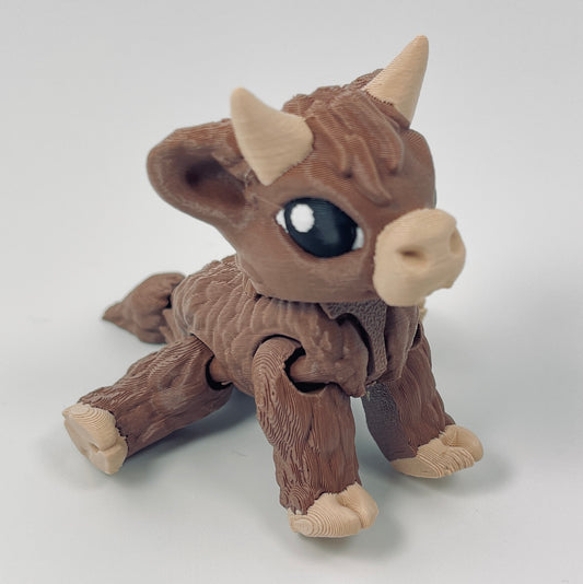 Highland Cow