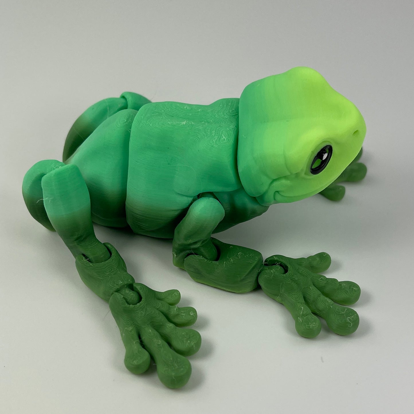 Magnetic Tree Frog