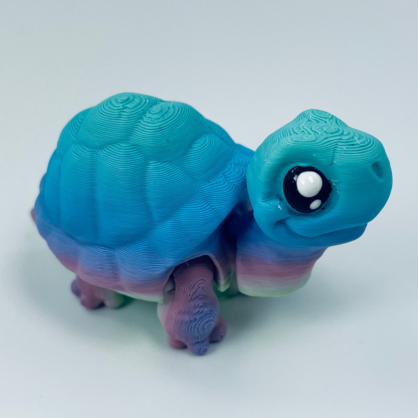 Tortoise - two styles, multiple colours and sizes