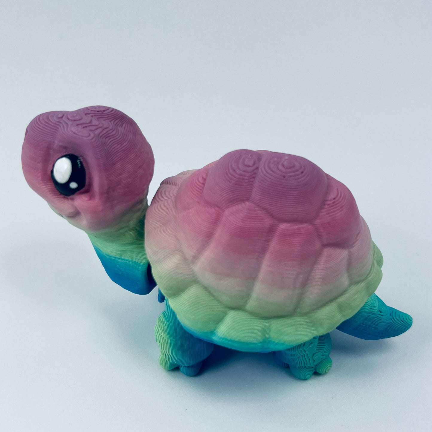Tortoise - two styles, multiple colours and sizes