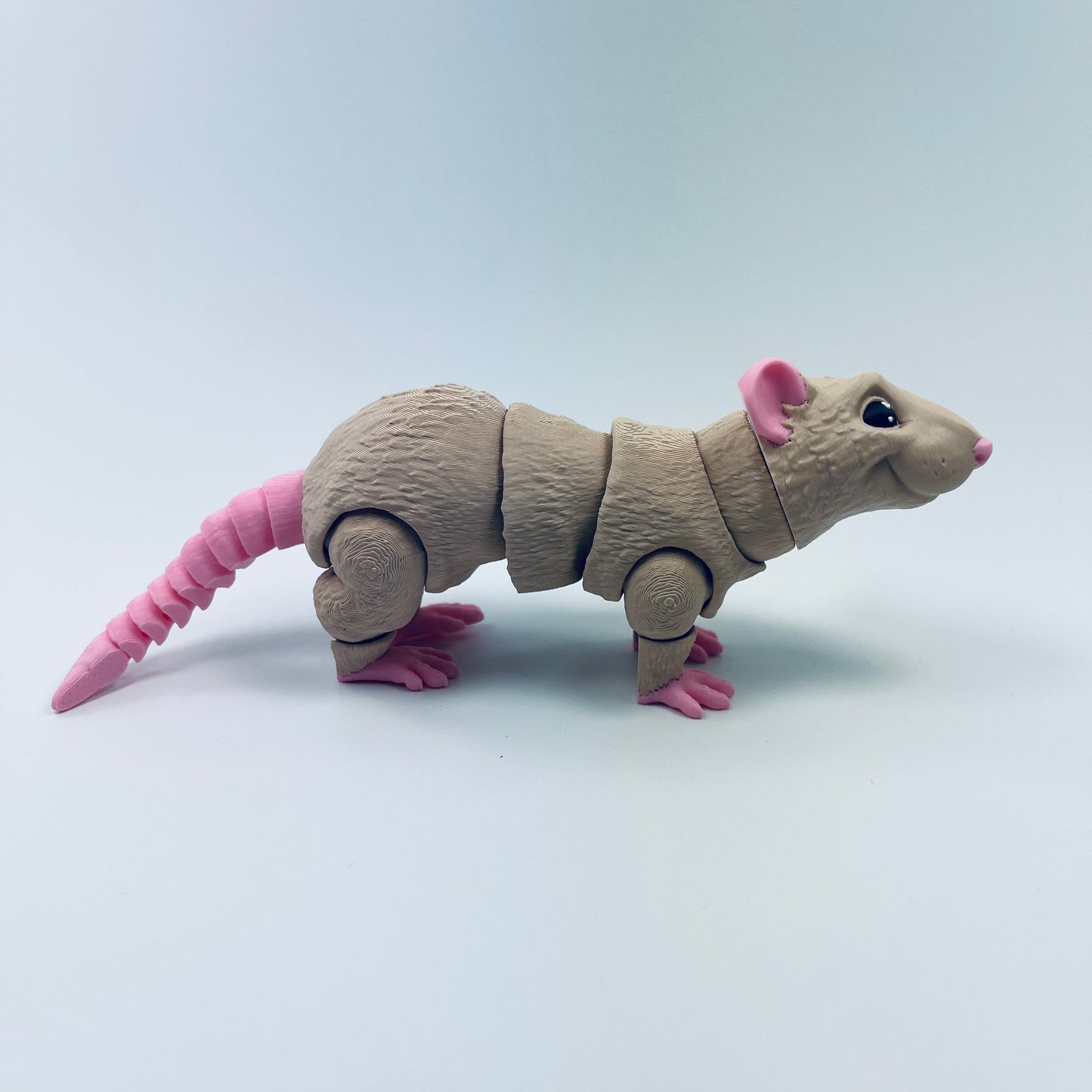 Rat