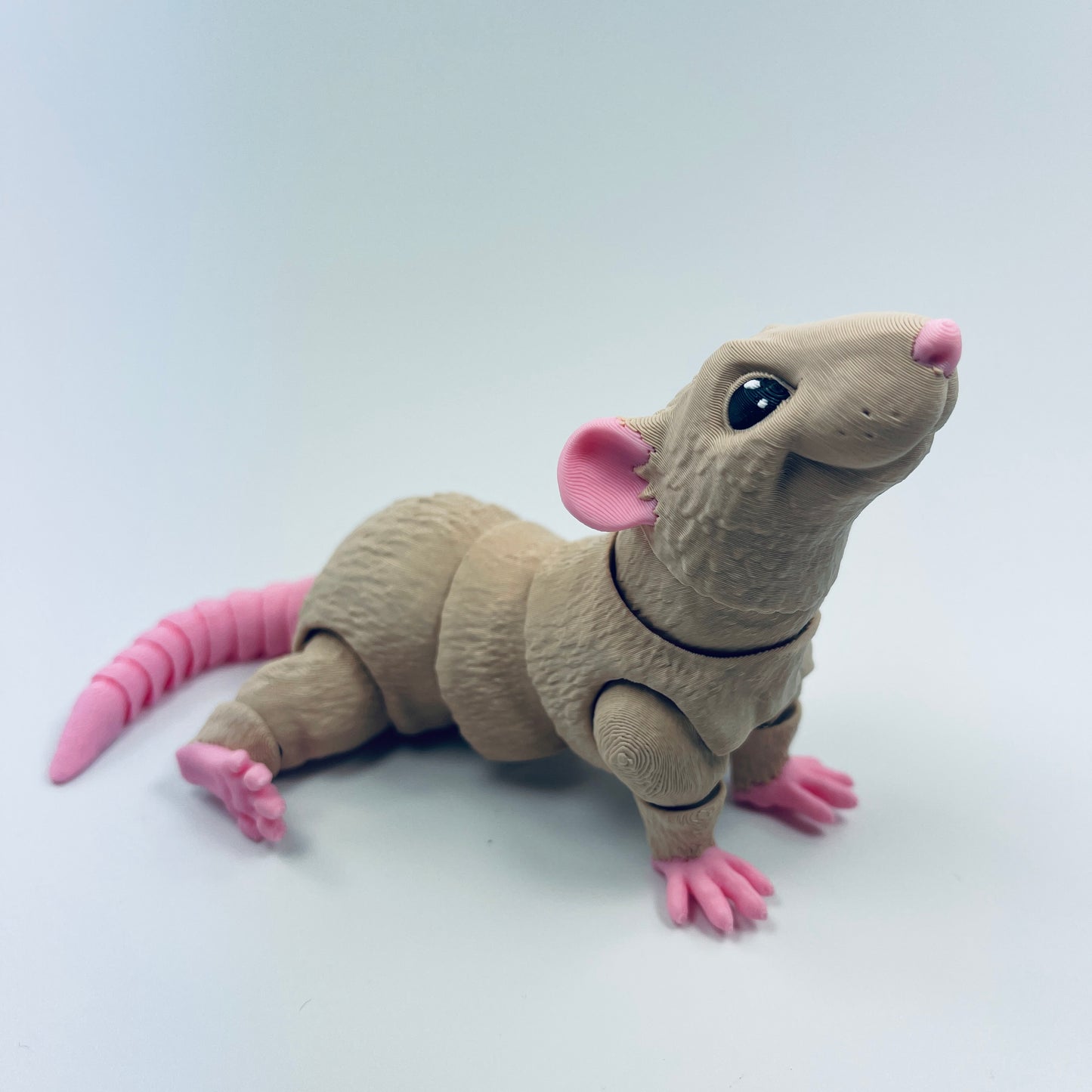 Rat