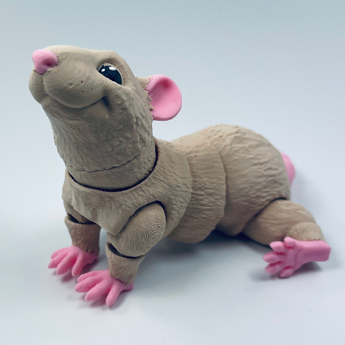 Rat