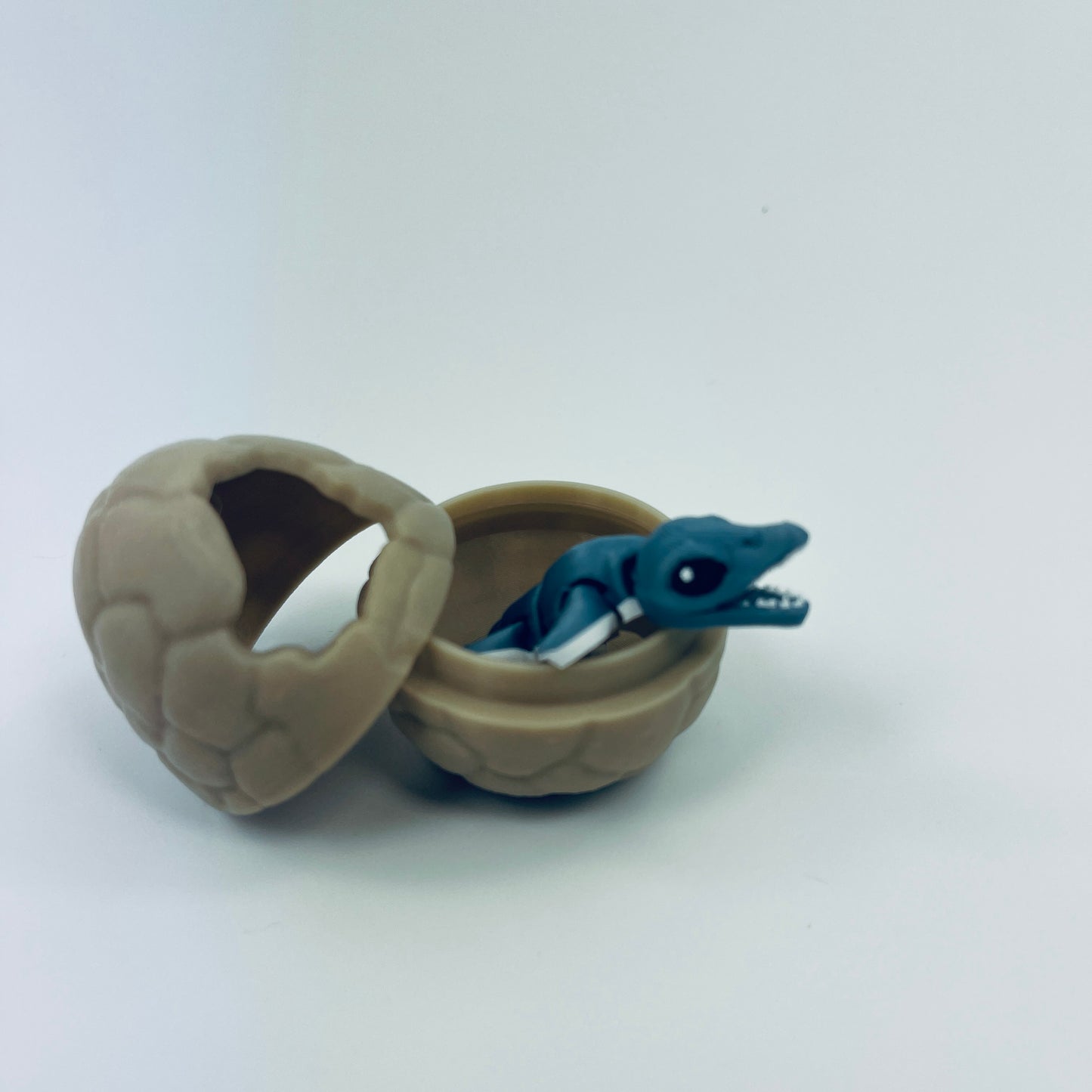 Teeny Dino and Egg combo