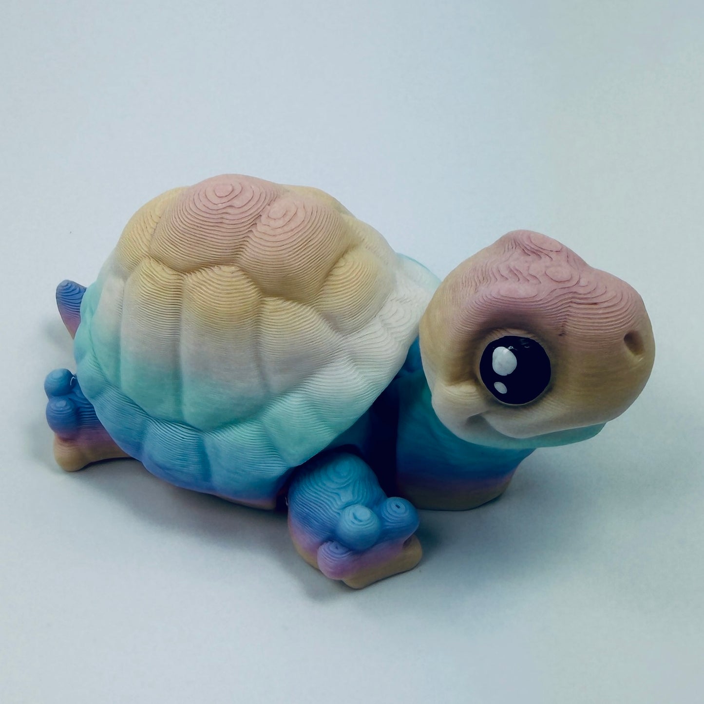 Tortoise - two styles, multiple colours and sizes