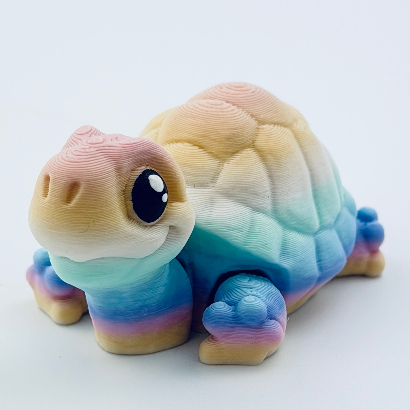 3d printed mini tortoise - view 4