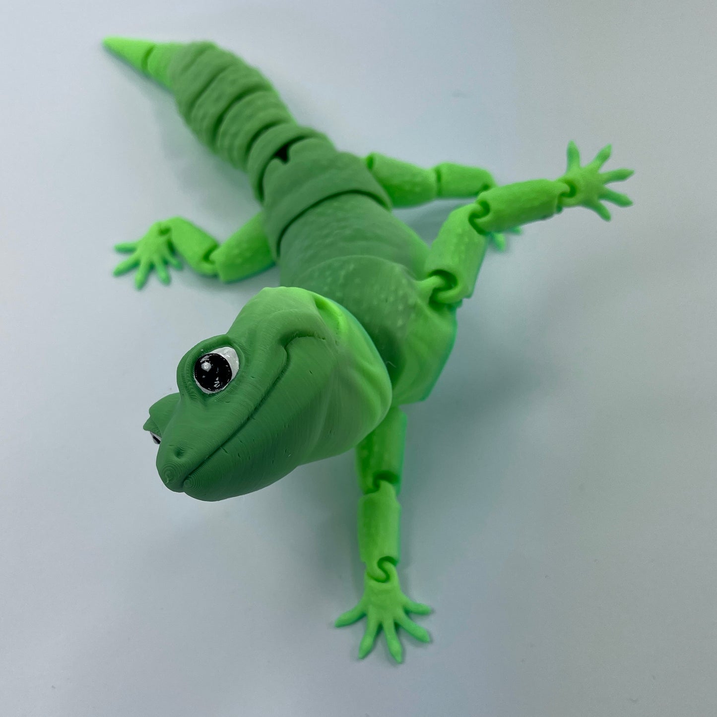 Leo Gecko
