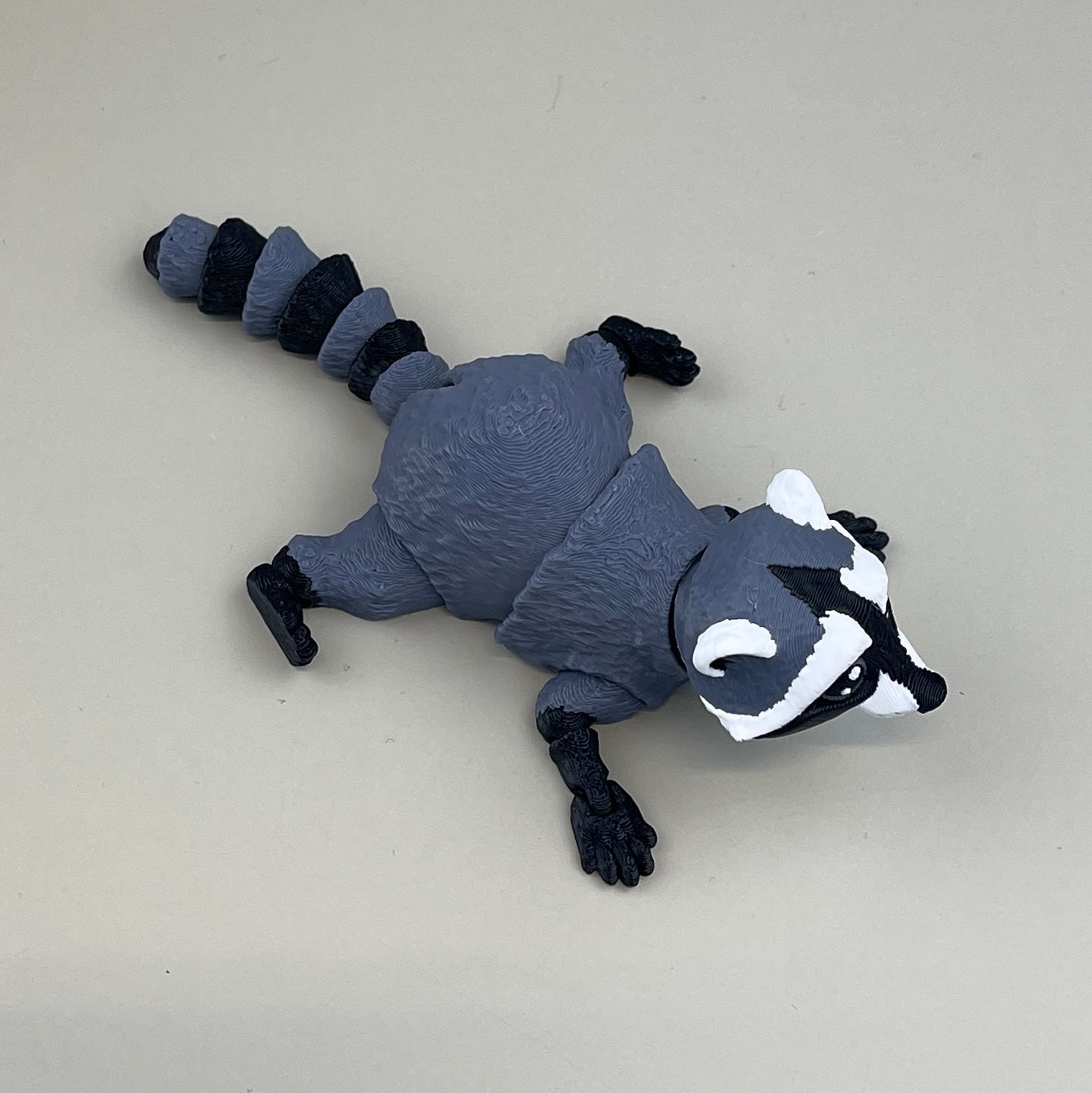 Racoon