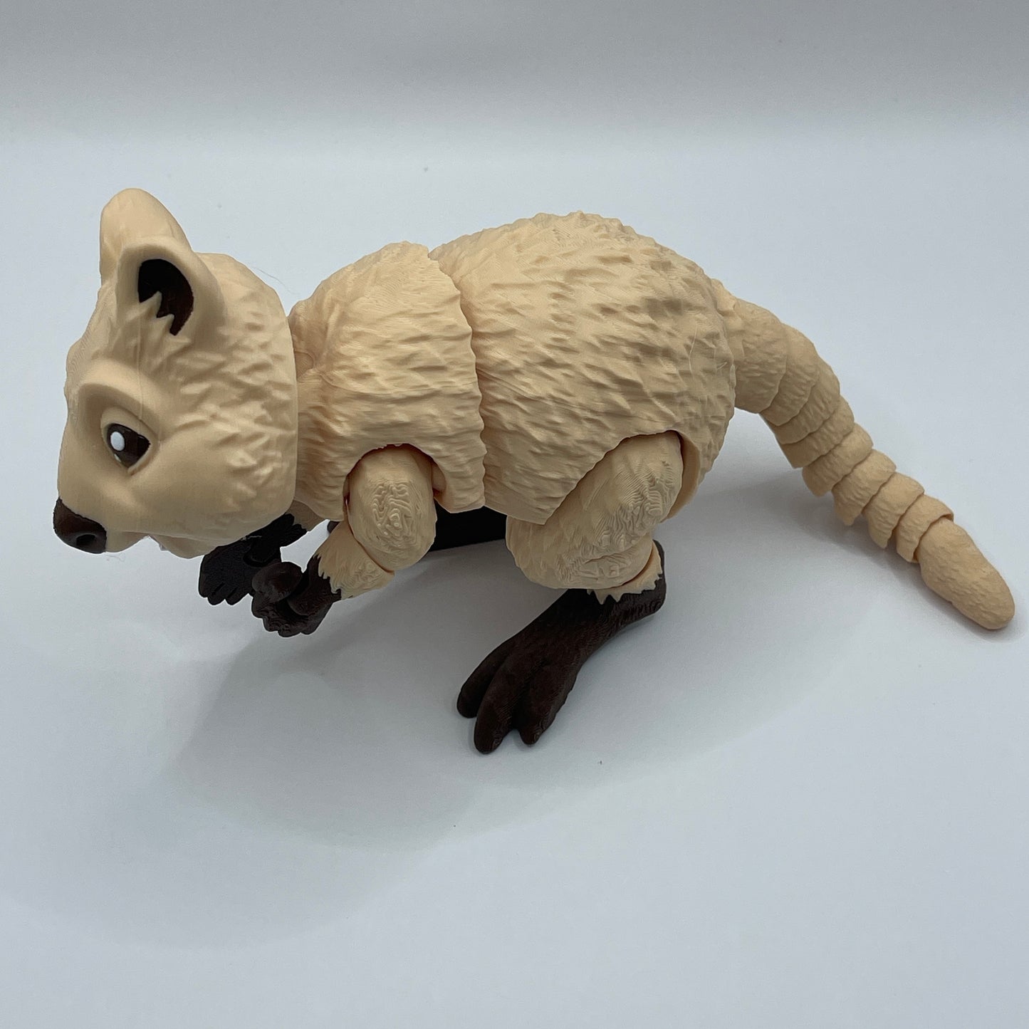 Quokka