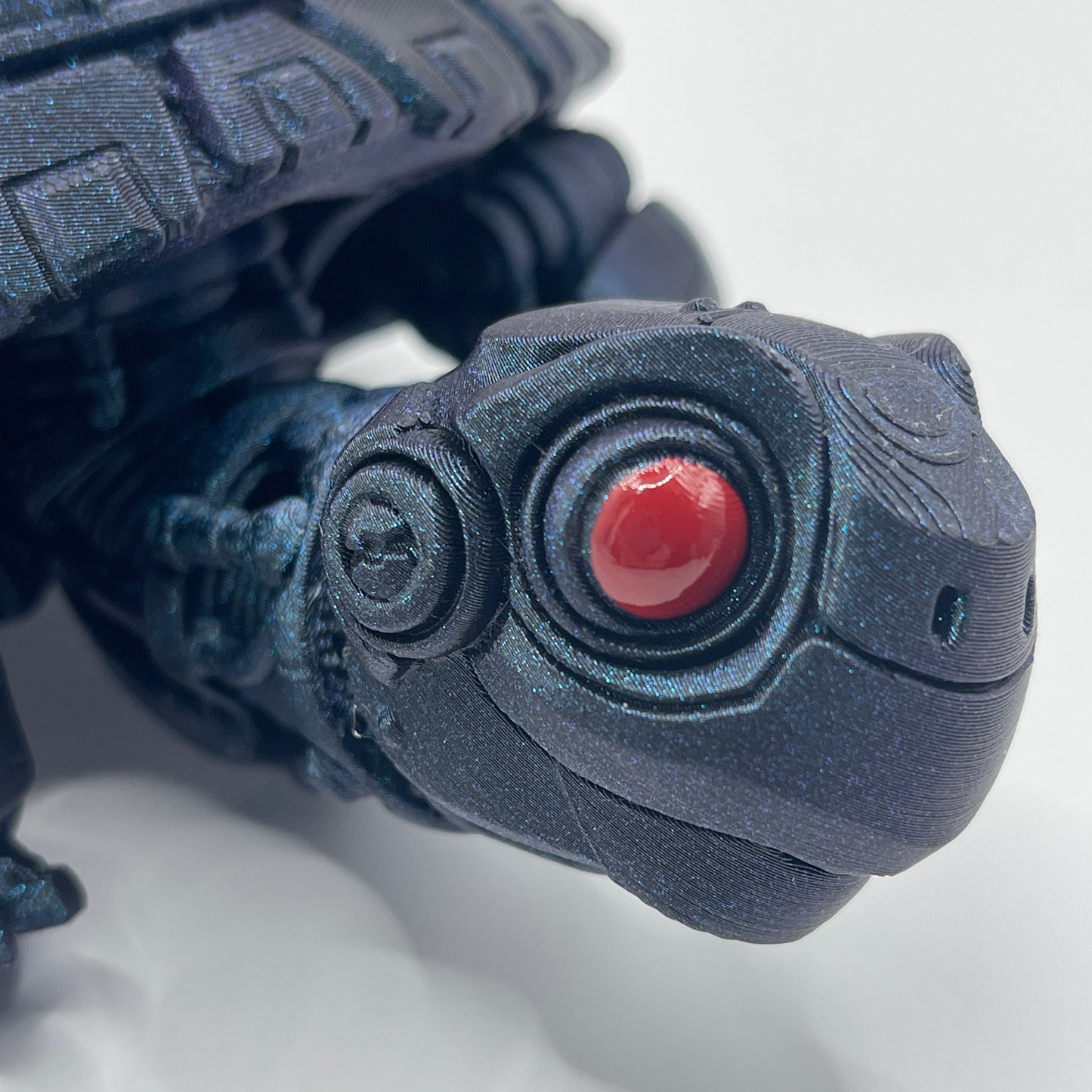 Tortoise - two styles, multiple colours and sizes