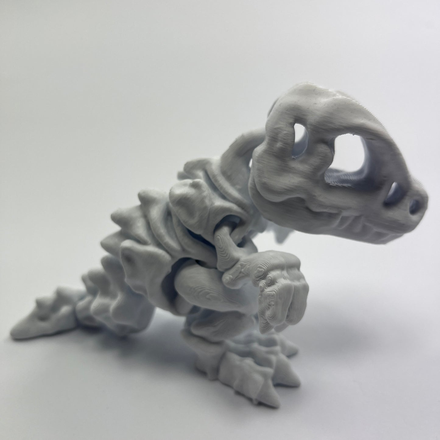 Skeleton T-Rex