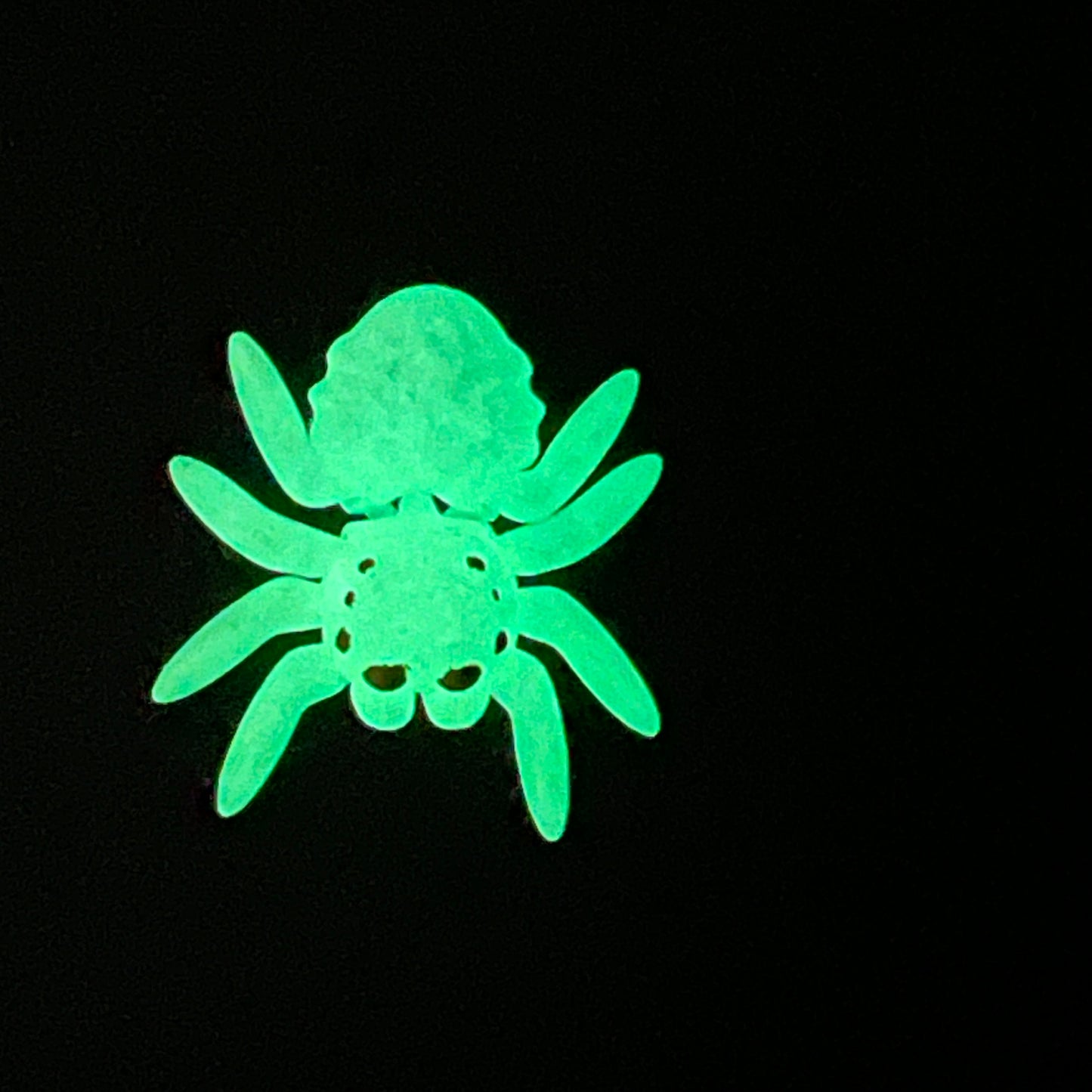 Spider - 5 sizes, various styles and colours including glow in the dark