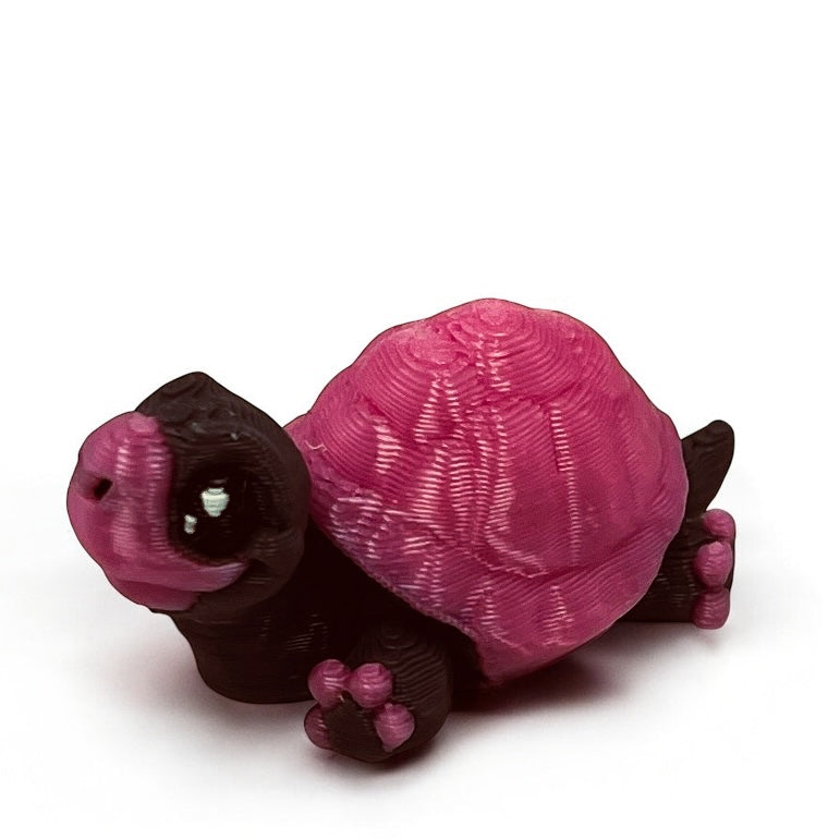 Tortoise - two styles, multiple colours and sizes