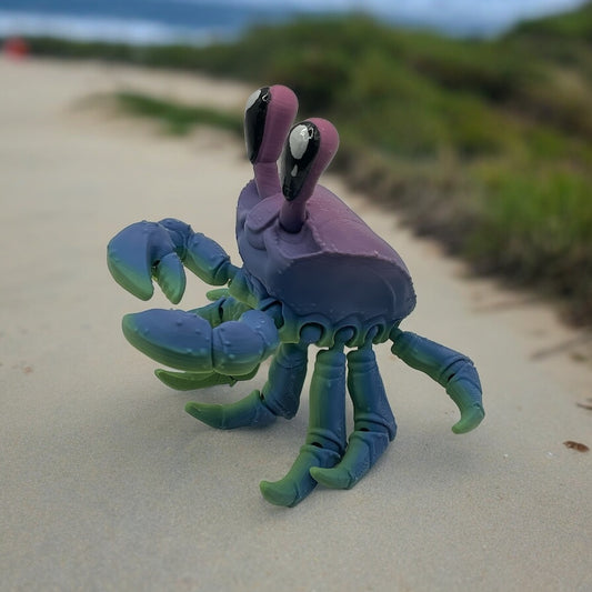 Ghost Crab