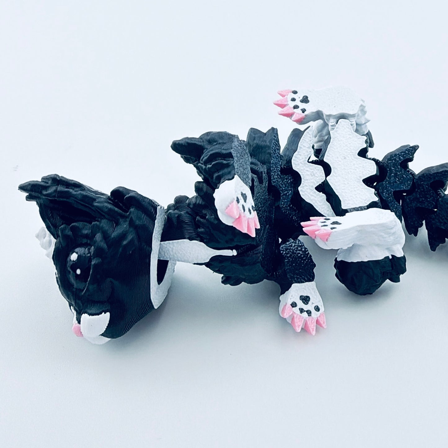 baby cat dragon - tuxedo