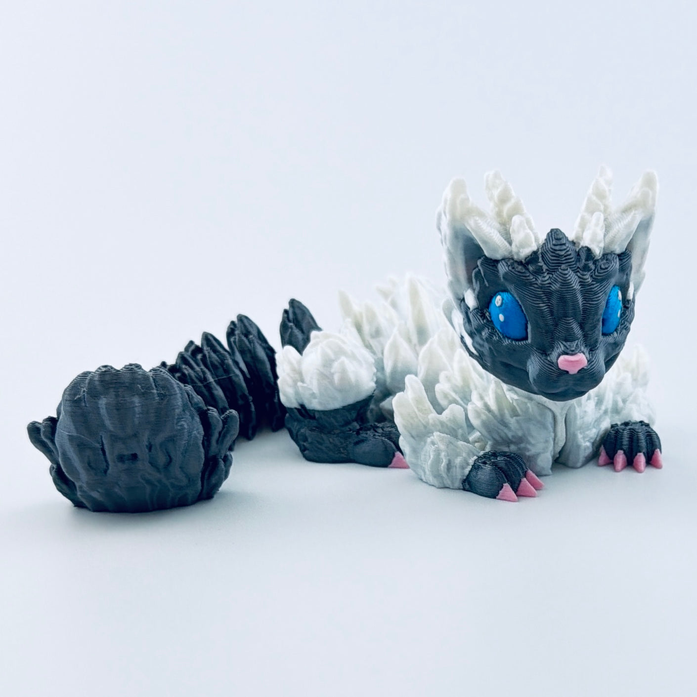 baby cat dragon - sitting ragdoll