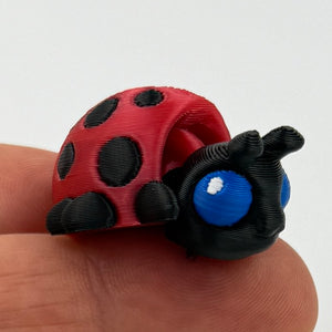 teeny tiny ladybug