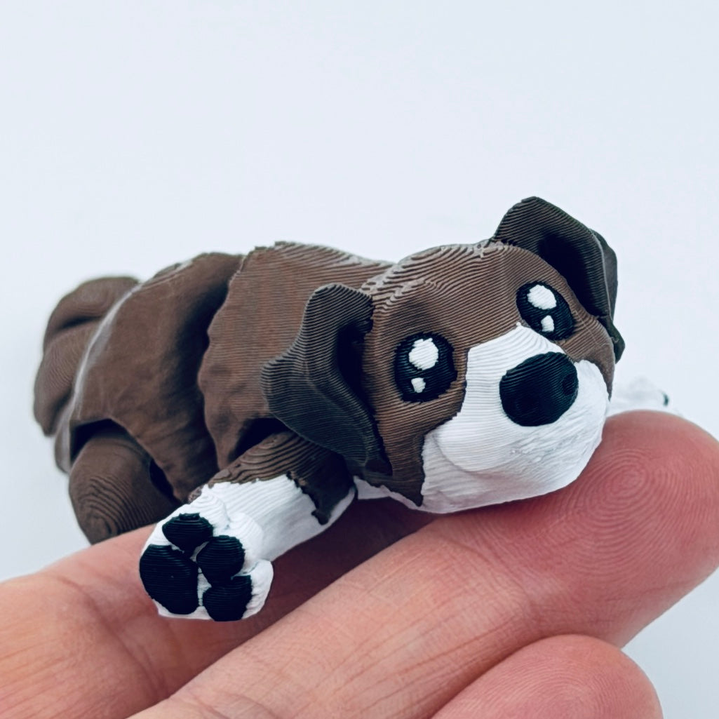 mini dog - brown and white