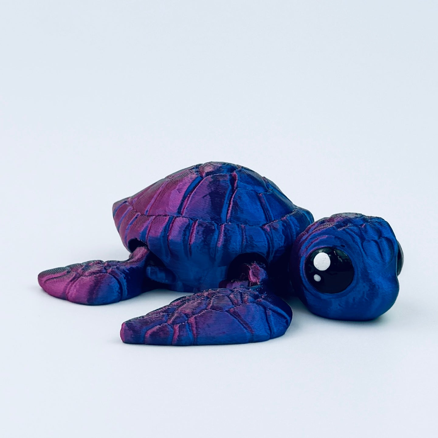 Paua Sea Turtle