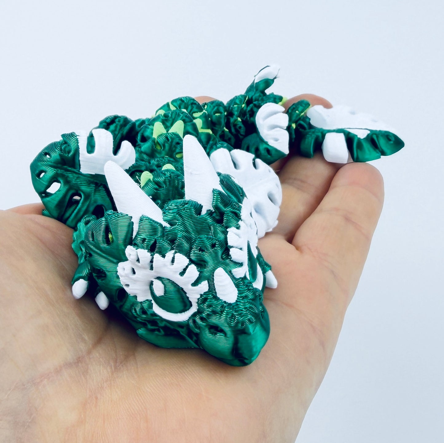 Baby Monstera Dragon
