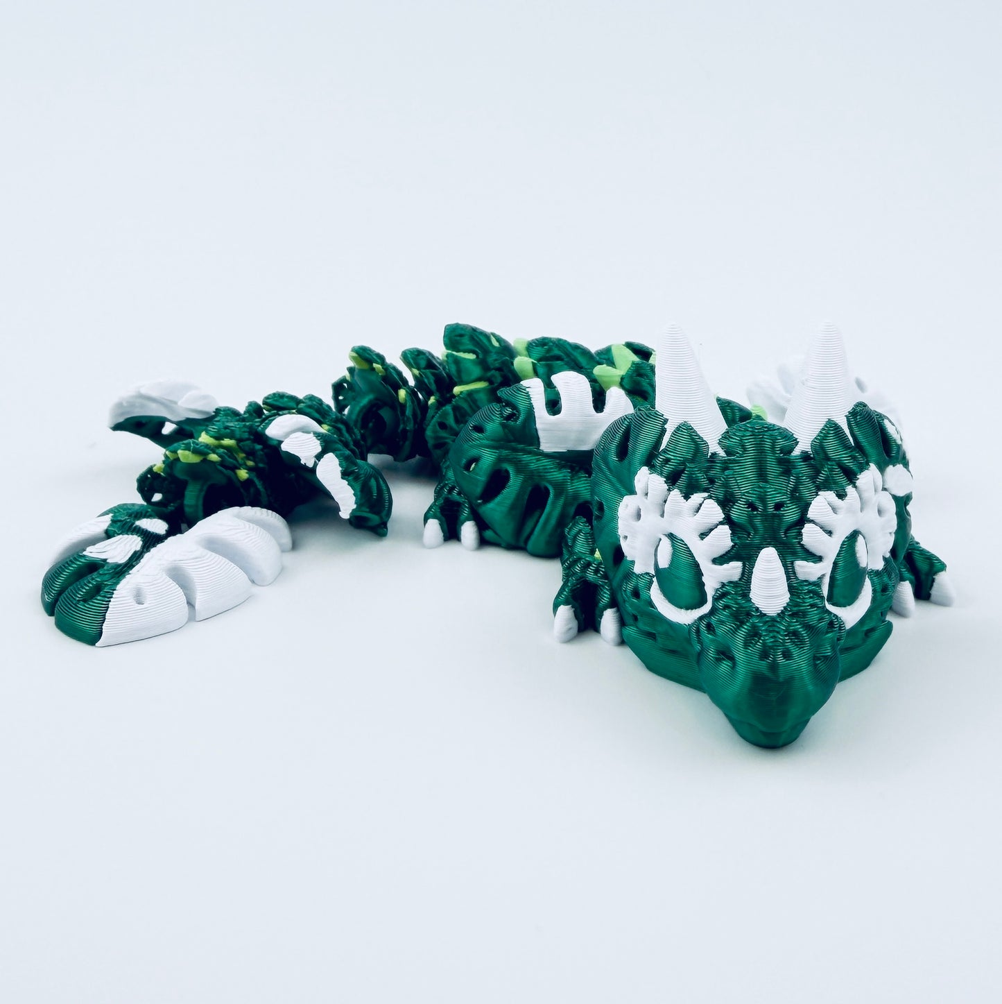 Baby Monstera Dragon