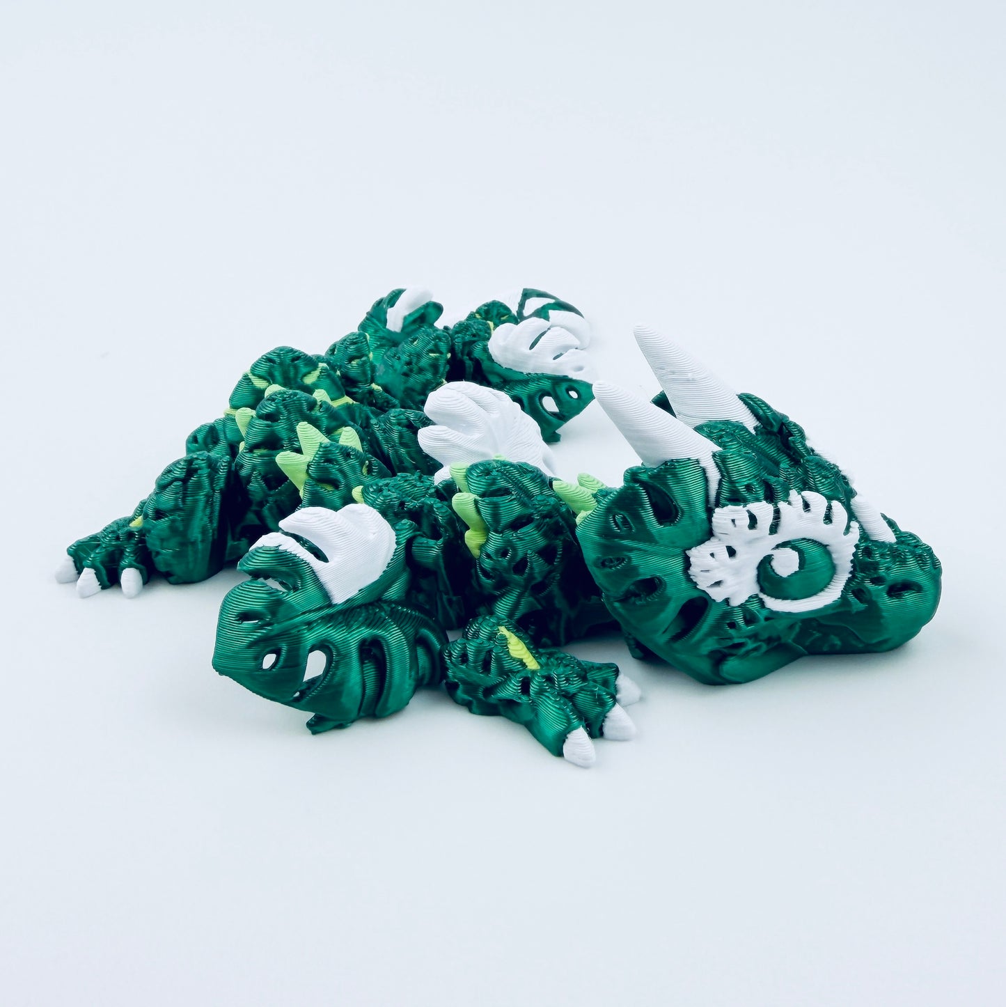 Baby Monstera Dragon