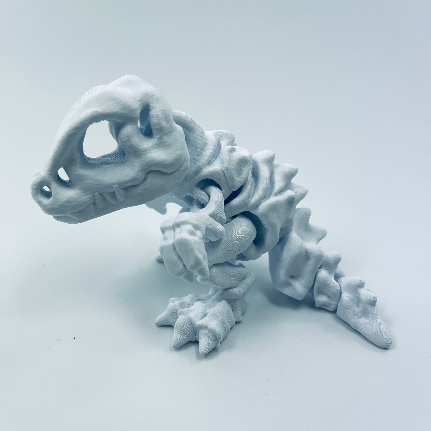 Skeleton T-Rex