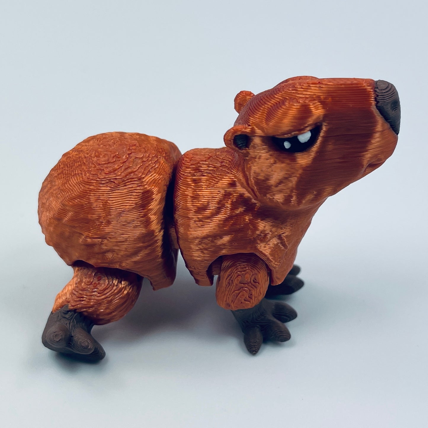 Capybara - various sizes and styles available
