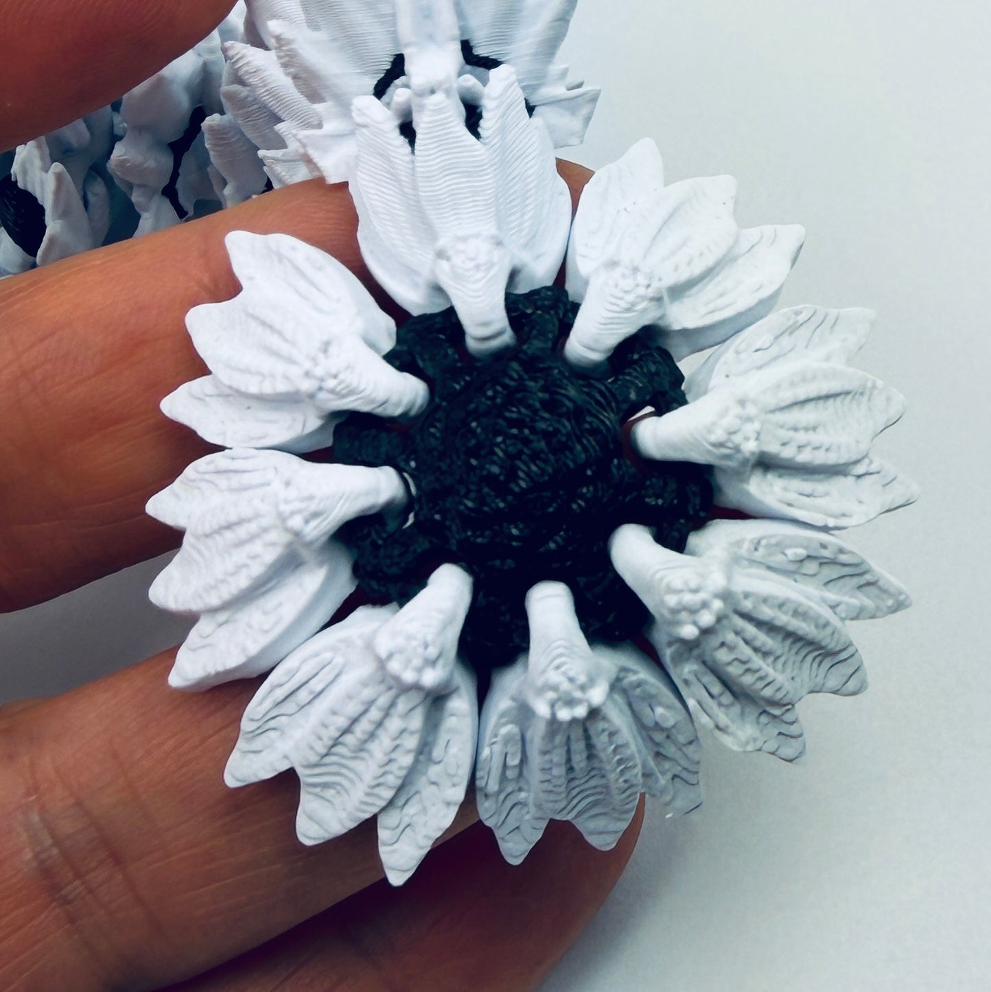 Baby Sunflower dragon