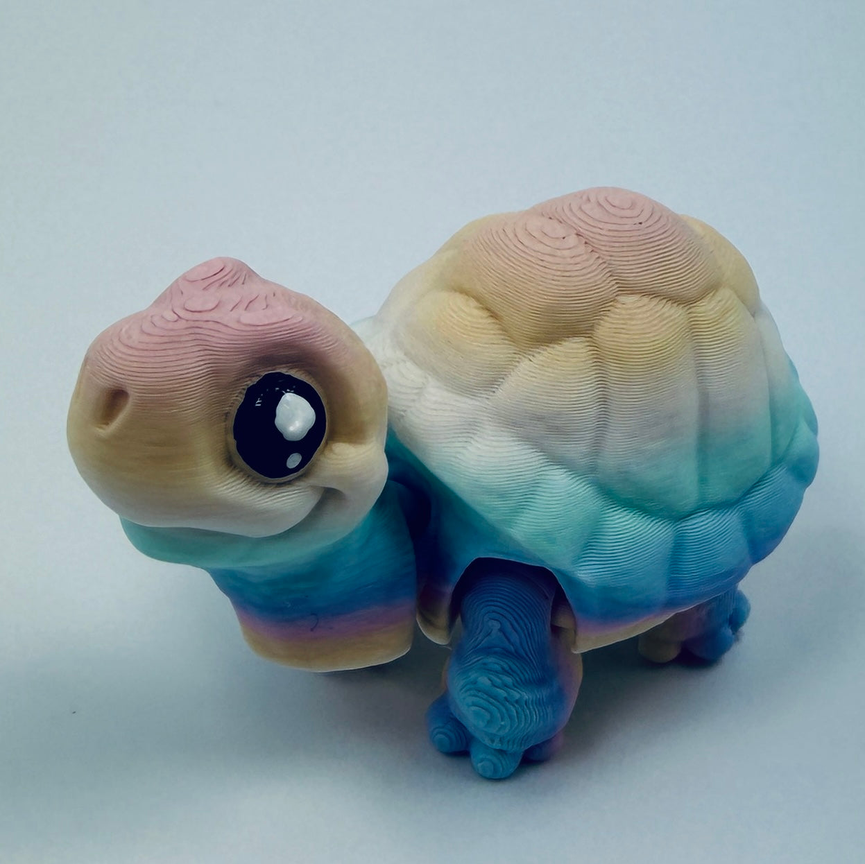 Tortoise - two styles, multiple colours and sizes
