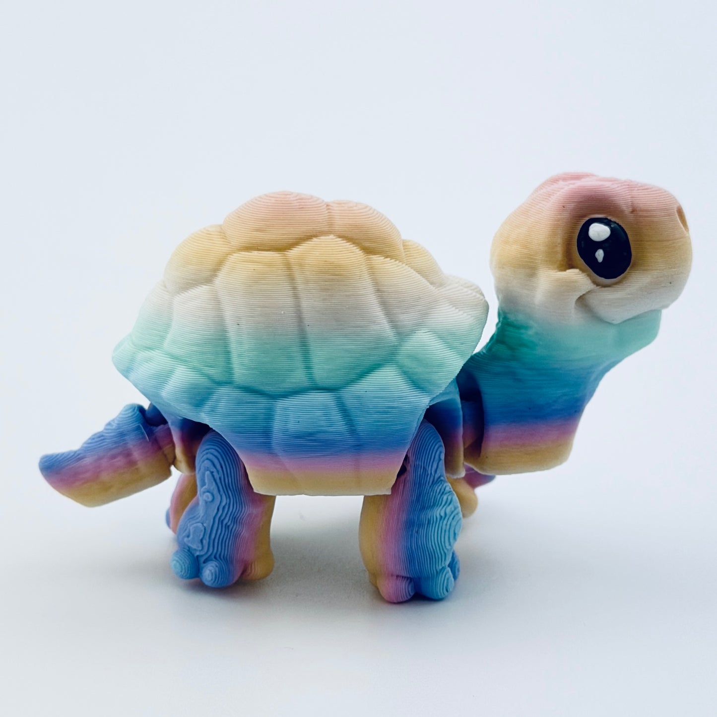 3d printed mini tortoise - view 5