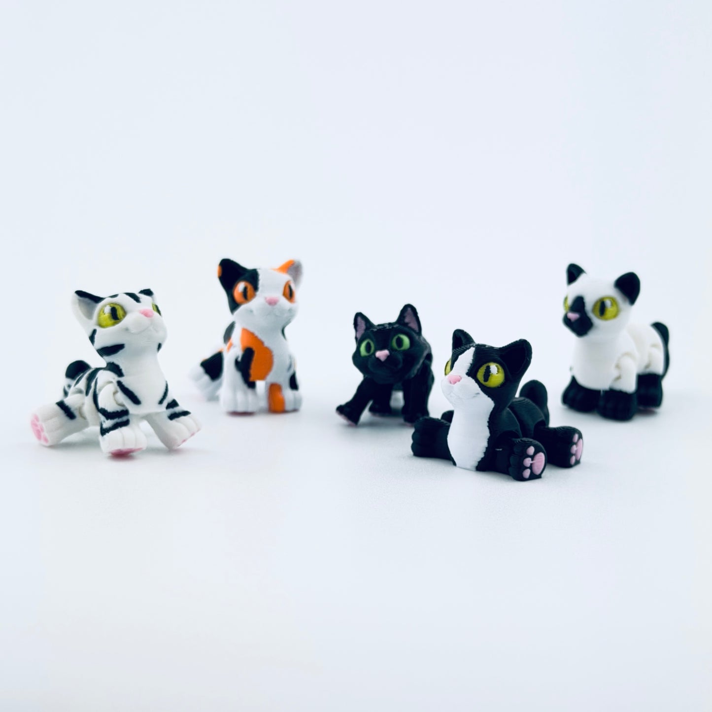 teeny tiny cat collection