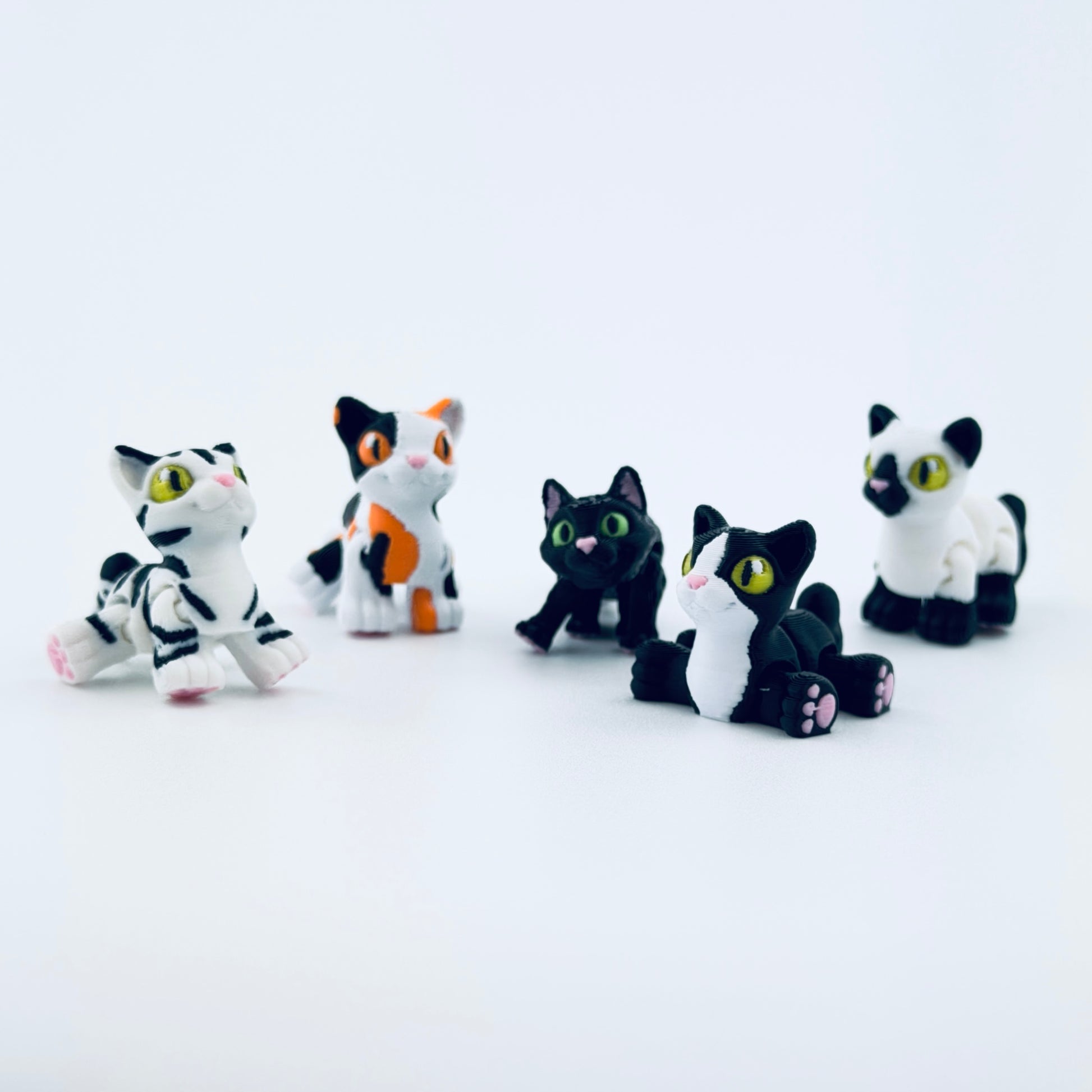teeny tiny cat collection