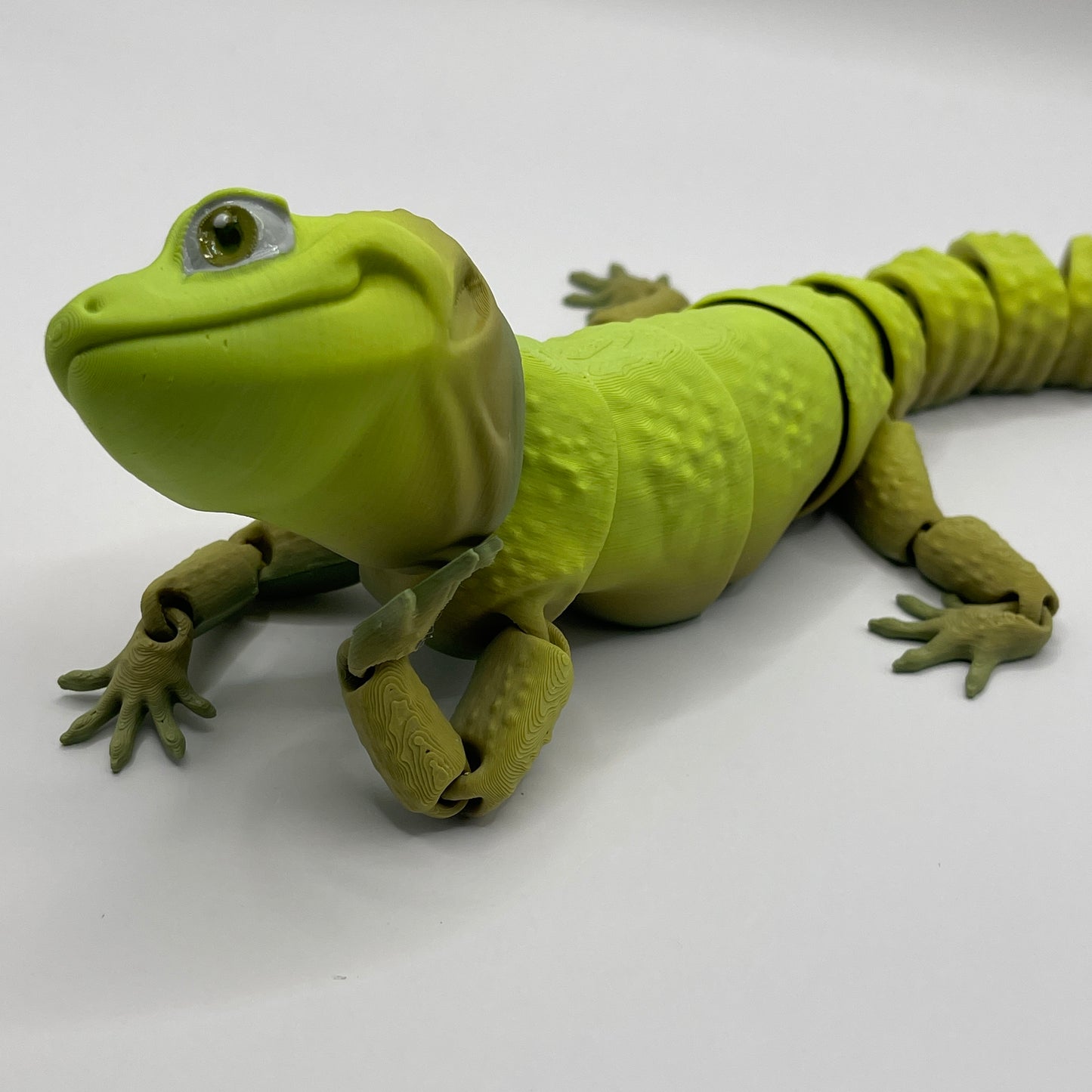 Leo Gecko