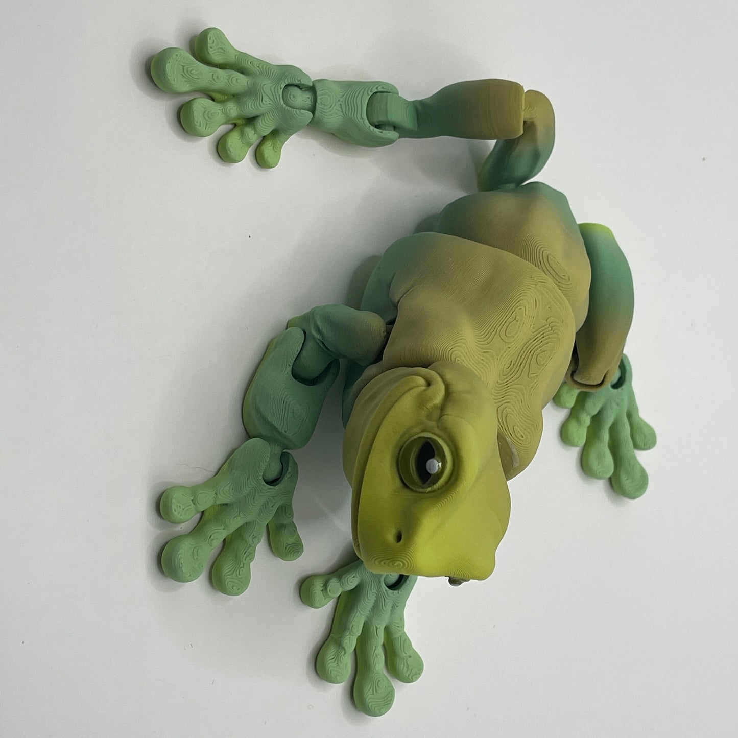 Magnetic Tree Frog