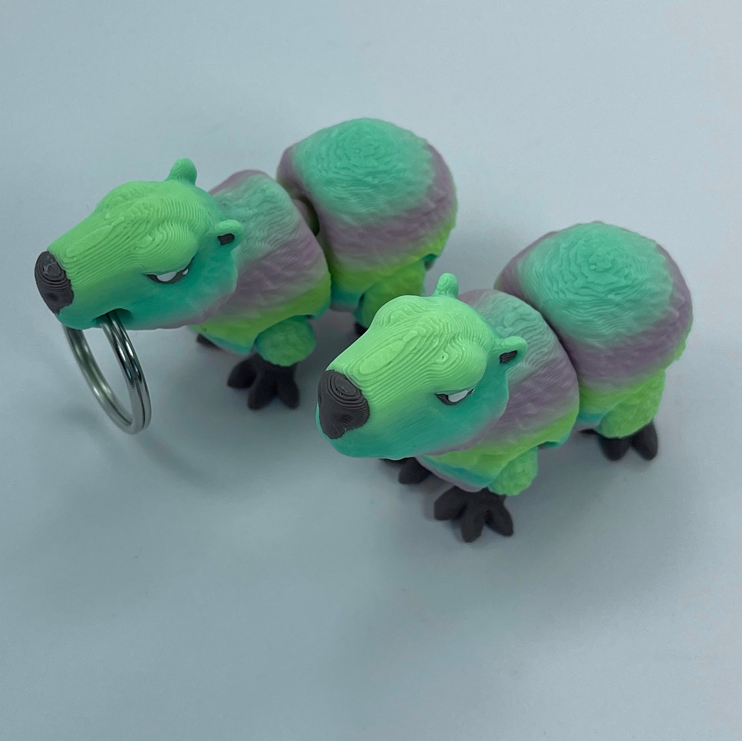 Capybara - various sizes and styles available