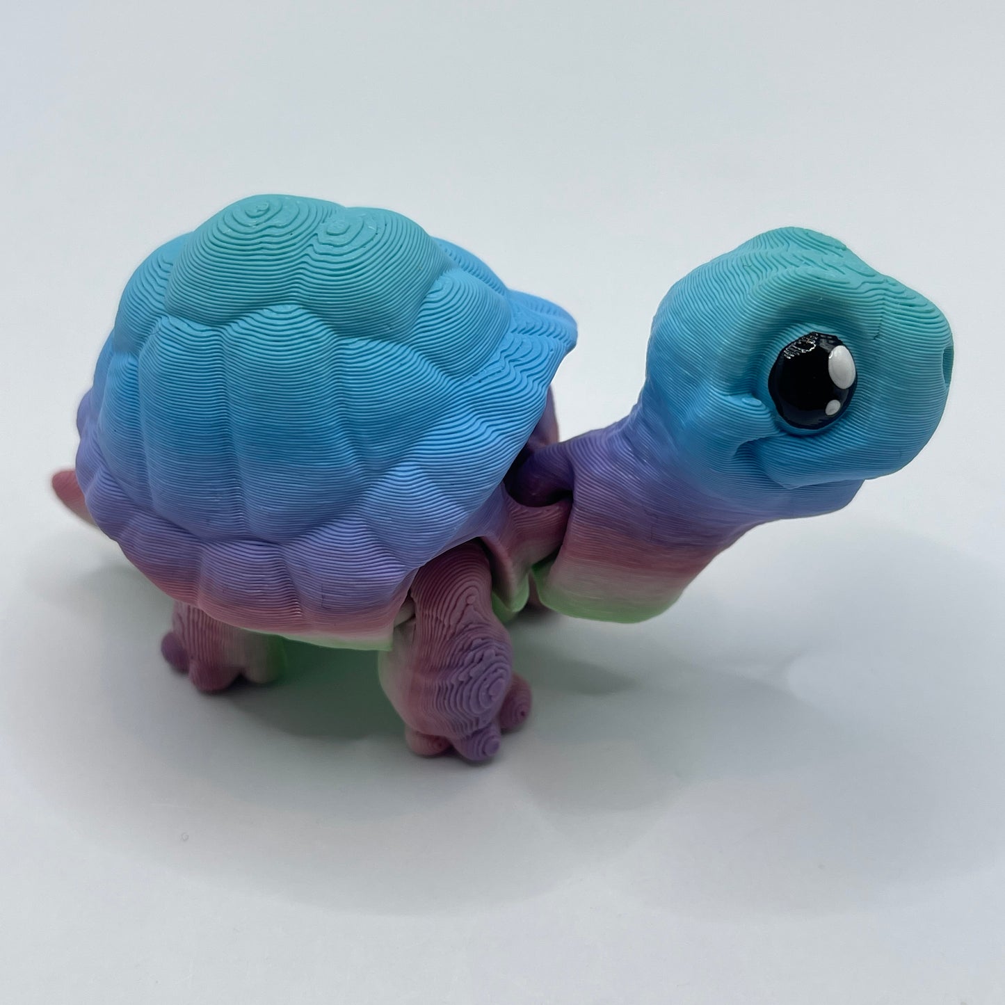 Tortoise - two styles, multiple colours