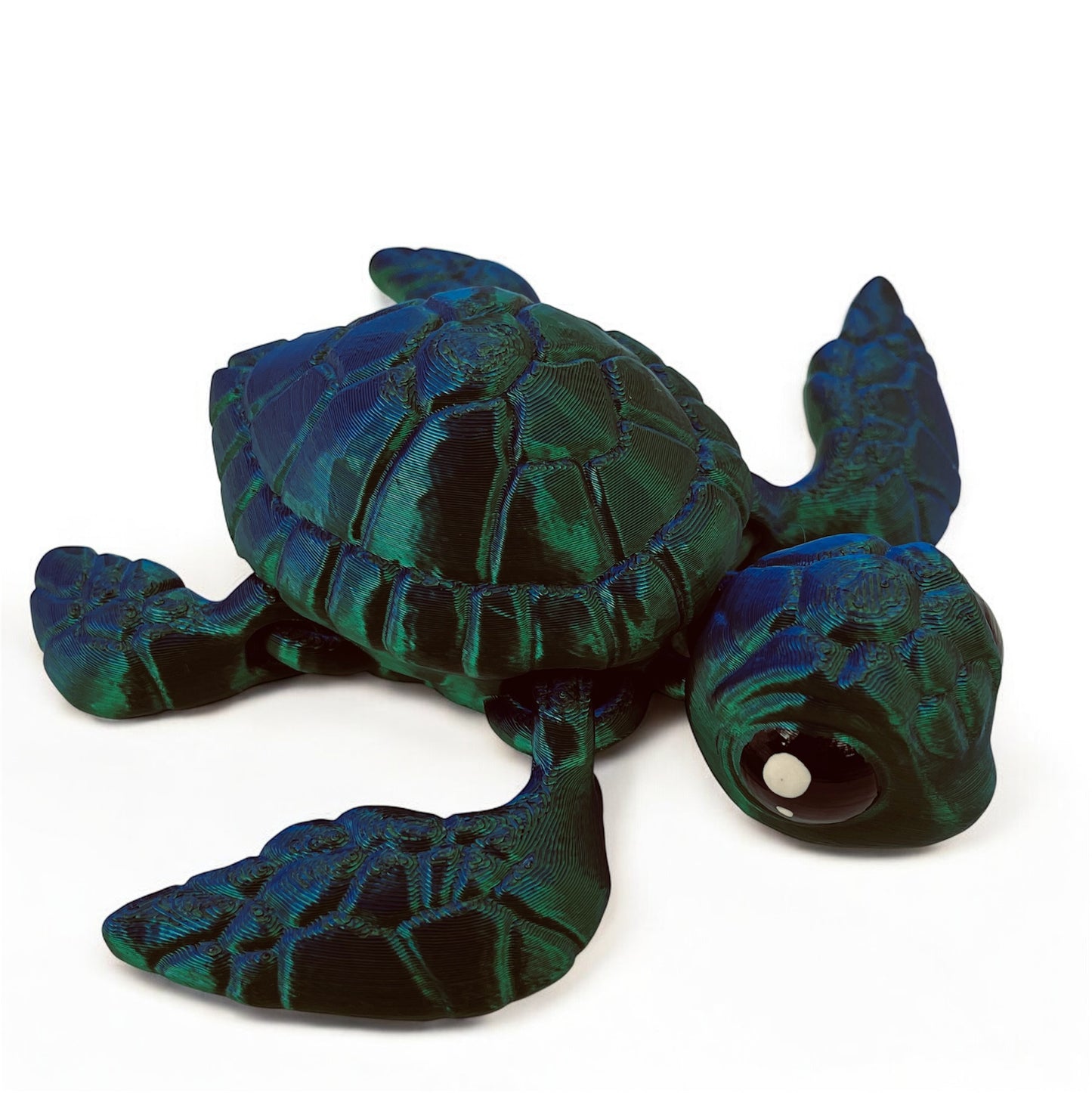 Sea Turtle